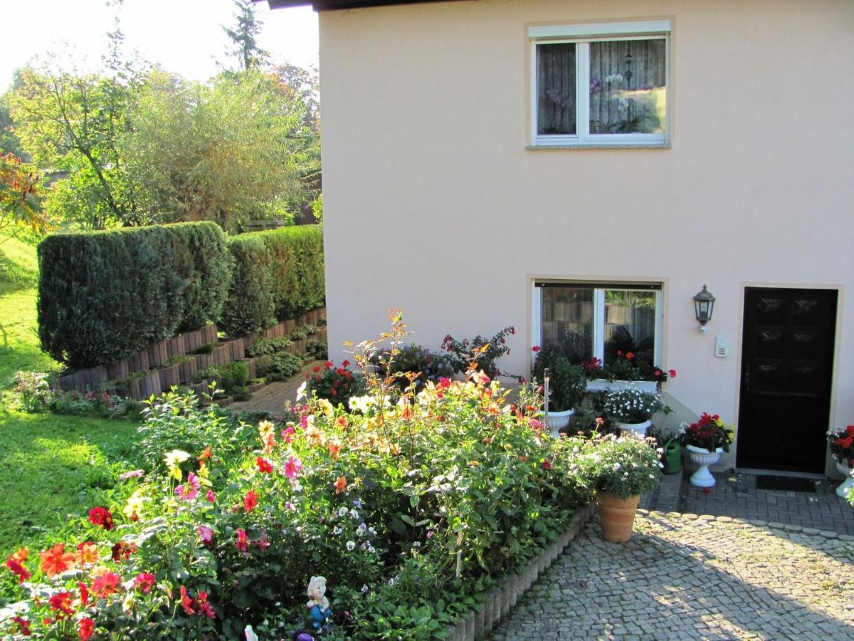 Beautiful Apartment In D Rnthal Near The Forest Voigtsdorf Zewnętrze zdjęcie