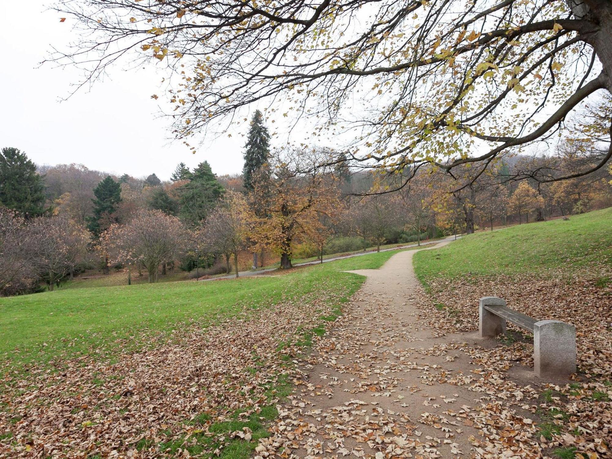 Beautiful Apartment In D Rnthal Near The Forest Voigtsdorf Zewnętrze zdjęcie